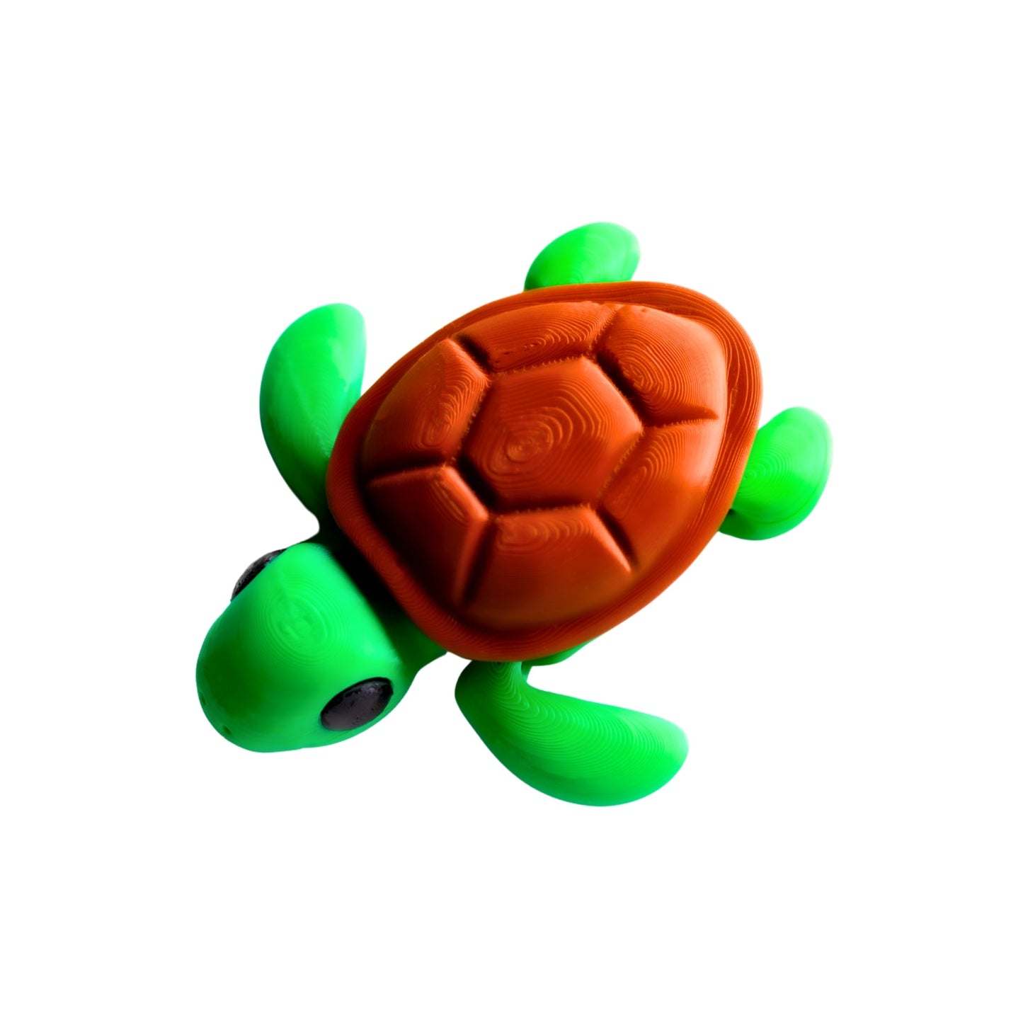 Tortue