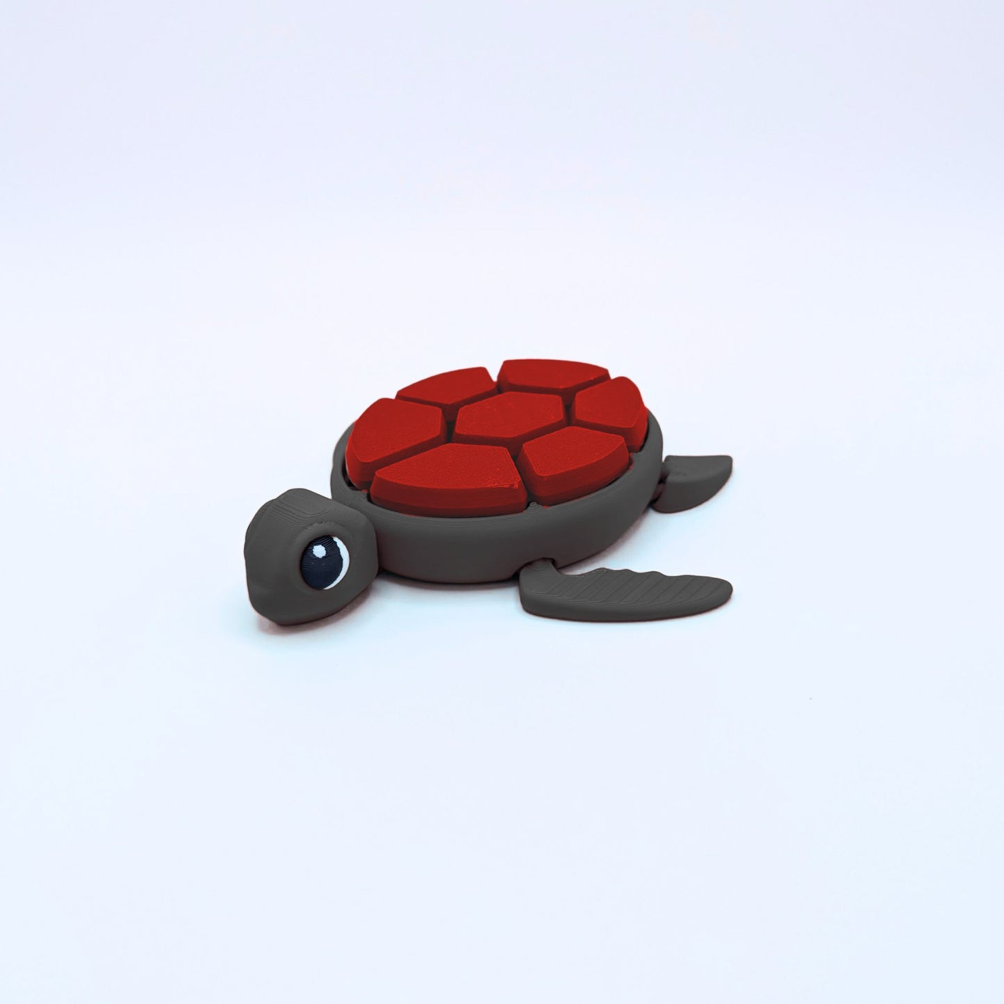 Tortue Bicolore Clicker Fidget