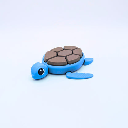 Tortue Bicolore Clicker Fidget