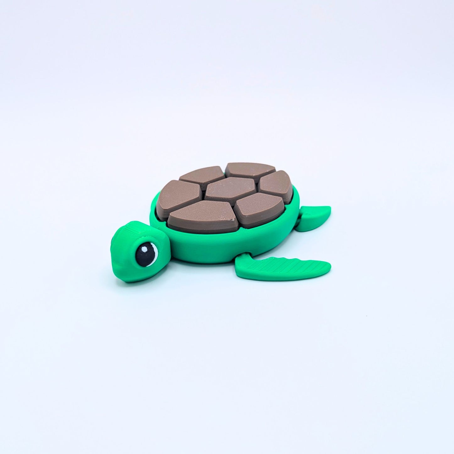 Tortue Bicolore Clicker Fidget