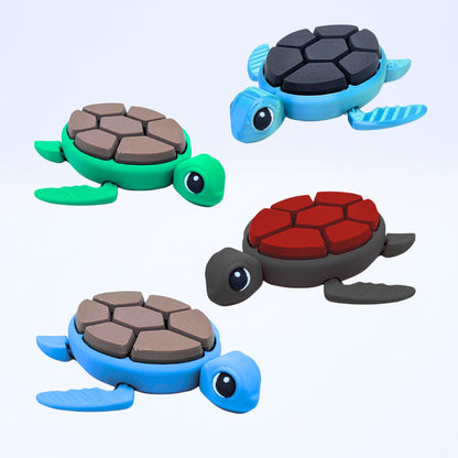 Tortue Bicolore Clicker Fidget